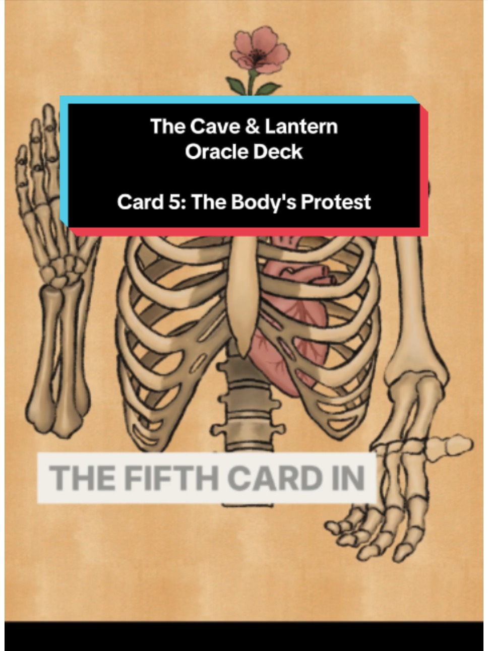 Card Reveal 5: The Body’s Protest – Cave & Lantern&nbsp;Oracle